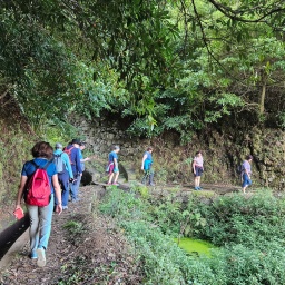 Madeira